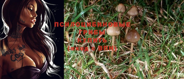 гашишное масло Алзамай