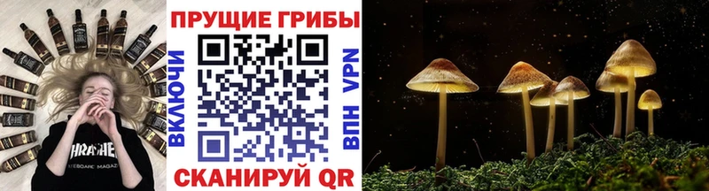 Галлюциногенные грибы ЛСД  закладка  Байкальск 